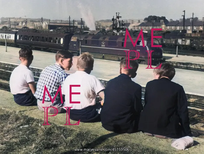 : YOUNG TRAINSPOTTERS : YOUNG TRAINSPOTTERS