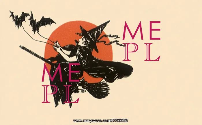 : Young Witch on Broom : Young Witch on Broom