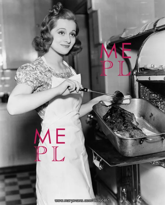 : Young woman basting a goose in the kitchen : Young woman basting a goose in the kitchen