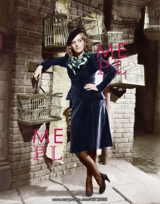 : Young woman and birdcages : Young woman and birdcages