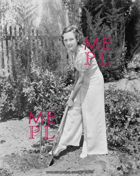 : Young woman doing gardening in her backyard : Young woman doing gardening in her backyard