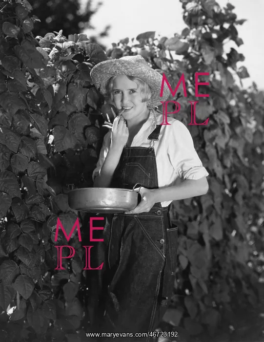 : Young woman picking beans : Young woman picking beans