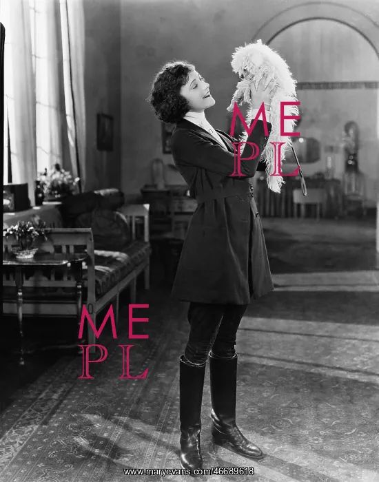: Young woman playing with her dog : Young woman playing with her dog