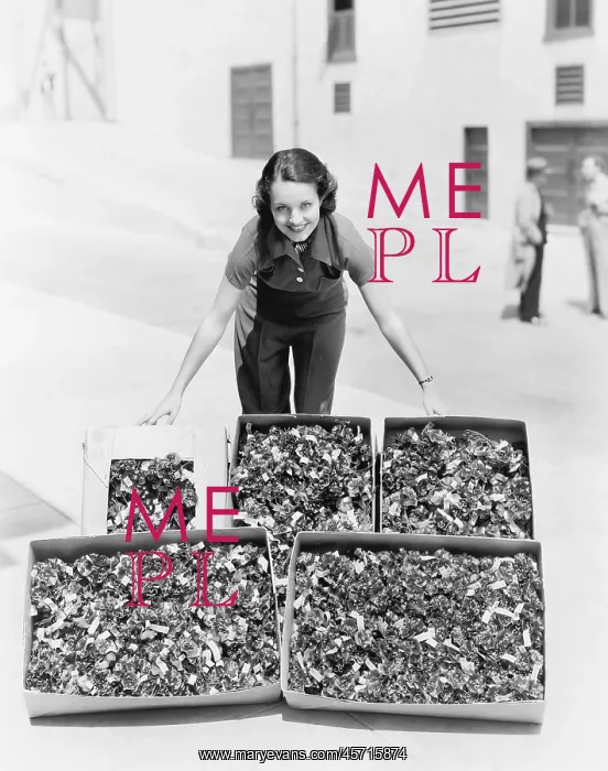 : Young woman presenting poppies in a box : Young woman presenting poppies in a box