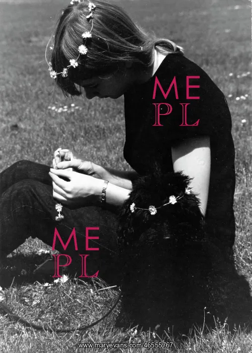 : Young woman sits on grass making / wearing daisy chains : Young woman sits on grass making / wearing daisy chains