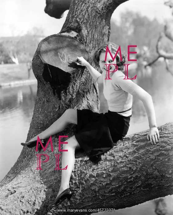 : Young woman sitting in a tree writing on tree trunk
