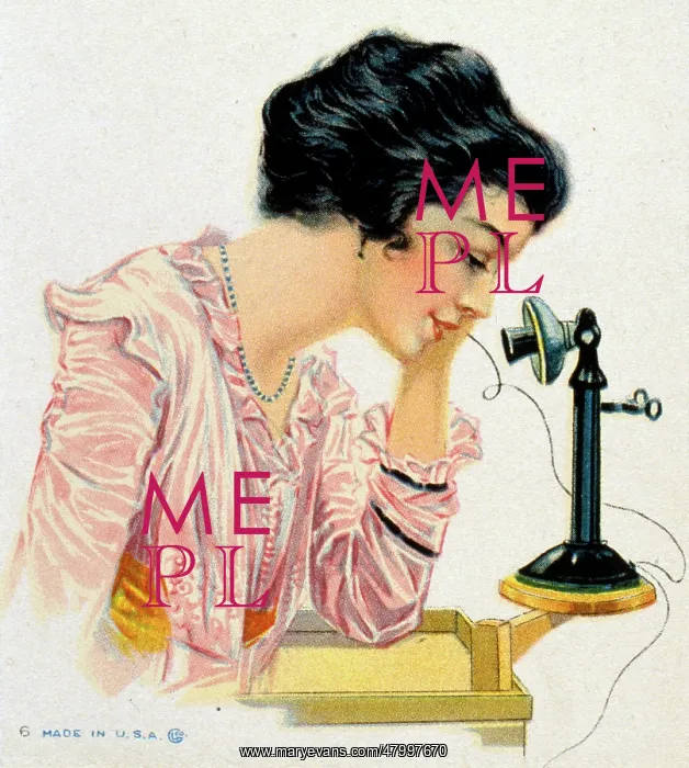 : Young woman on the telephone : Young woman on the telephone