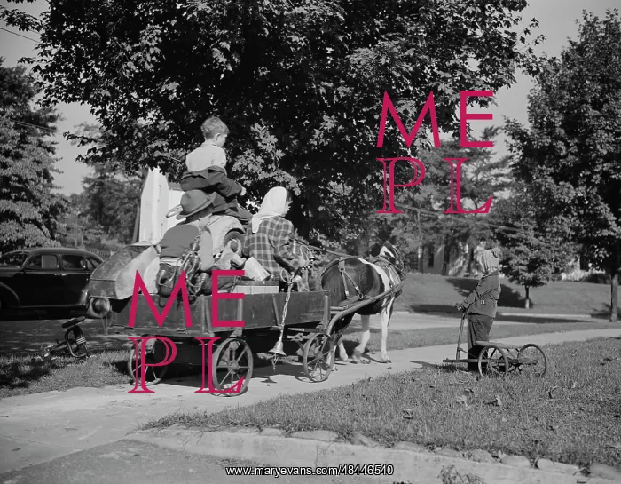 : Youngsters collecting scrap on a pony cart : Youngsters collecting scrap on a pony cart