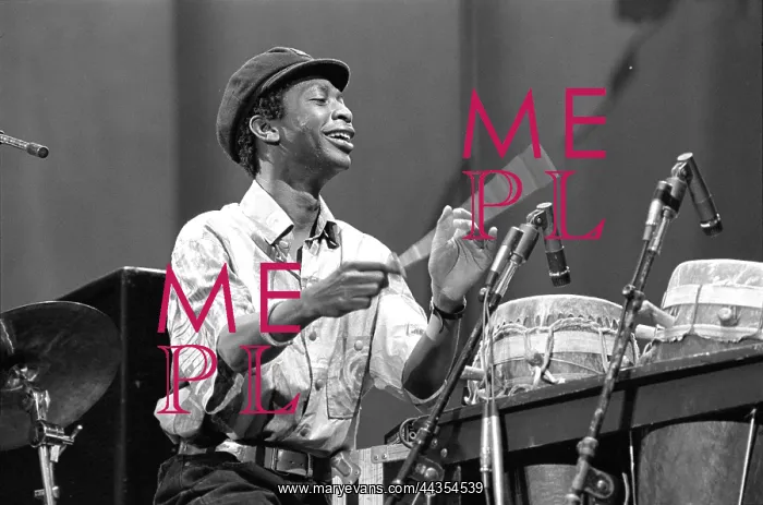 : Yousser N'Dou drumming at an International Human Rights : Yousser N'Dou drumming at an International Human Rights