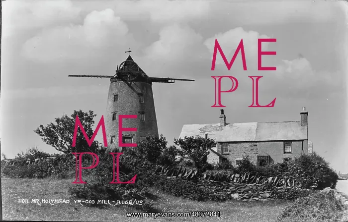 : Yr Ogo Mill : Yr Ogo Mill