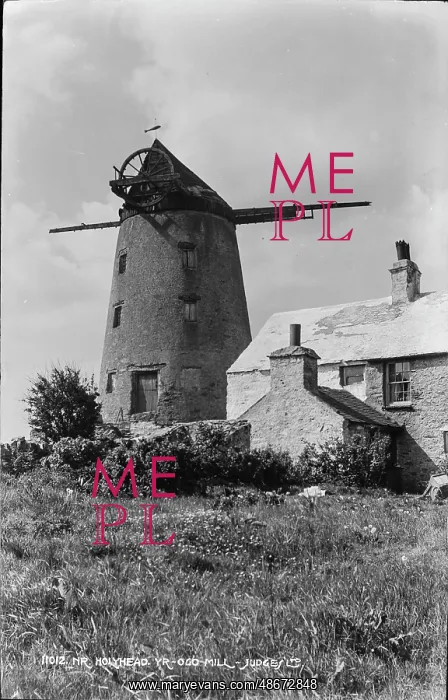 : Yr Ogo Mill : Yr Ogo Mill