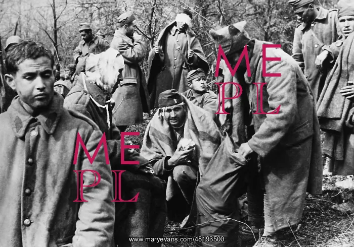 : Yugoslav prisoners, 1941 : Yugoslav prisoners, 1941