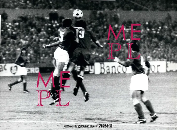 : The Yugoslavian Soccer Team Will Participate : The Yugoslavian Soccer Team Will Participate