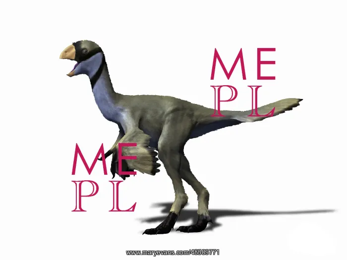 : Yulong mini, Late Cretaceous of China : Yulong mini, Late Cretaceous of China