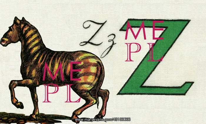: Z for Zebra : Z for Zebra