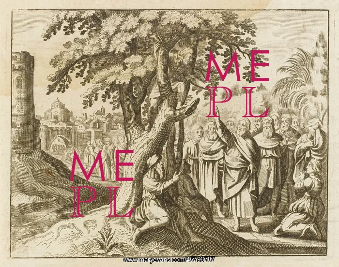 : ZACCHAEUS CONVERTED : ZACCHAEUS CONVERTED