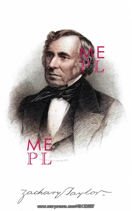 : ZACHARY TAYLOR : ZACHARY TAYLOR