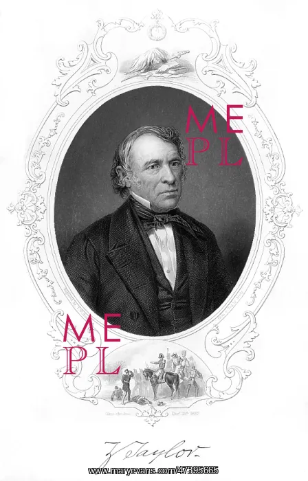 : ZACHARY TAYLOR : ZACHARY TAYLOR