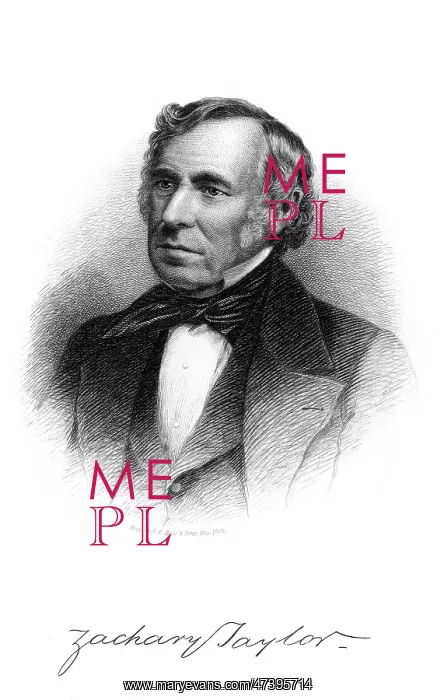 : ZACHARY TAYLOR : ZACHARY TAYLOR