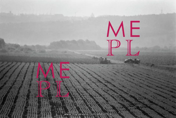 : Zaokskiy state farm : Zaokskiy state farm