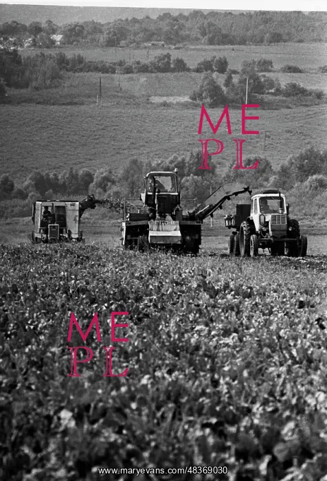 : Zarya Collective Farm : Zarya Collective Farm
