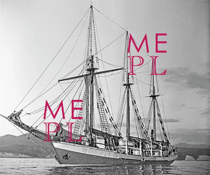: Zarya power-sail schooner : Zarya power-sail schooner