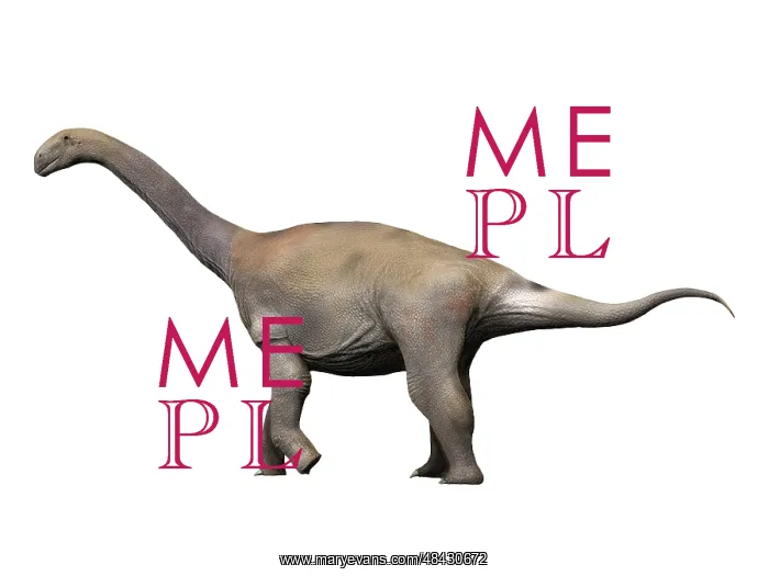 : Zby atlanticus is a sauropod dinosaur from the Late ? : Zby atlanticus is a sauropod dinosaur from the Late ?