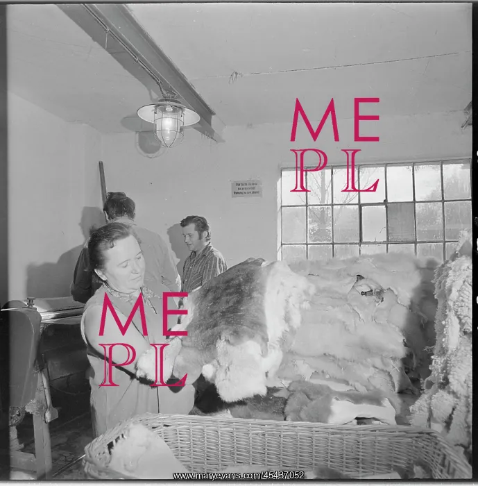 : Zdena Kolarova, worker, factory window, lamp, fur, basket : Zdena Kolarova, worker, factory window, lamp, fur, basket