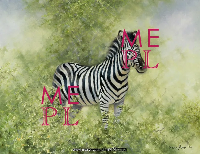  : Zebra