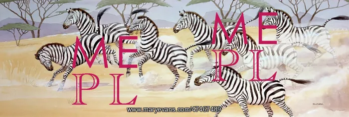  : Zebras. A herd of Zebras