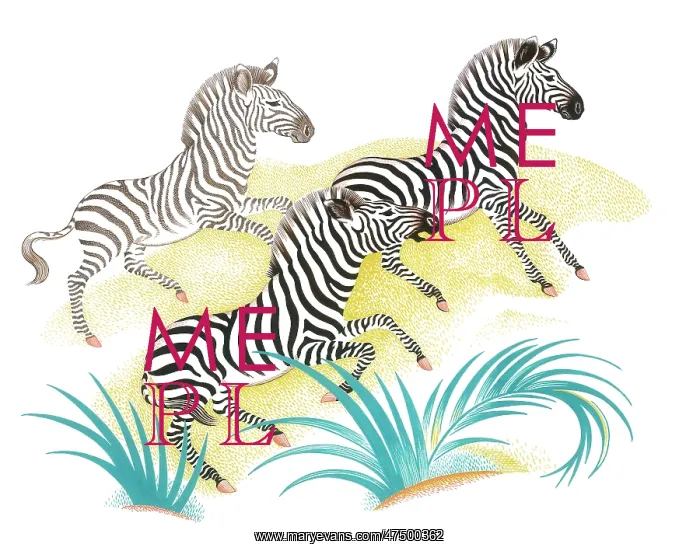  : Three Zebras