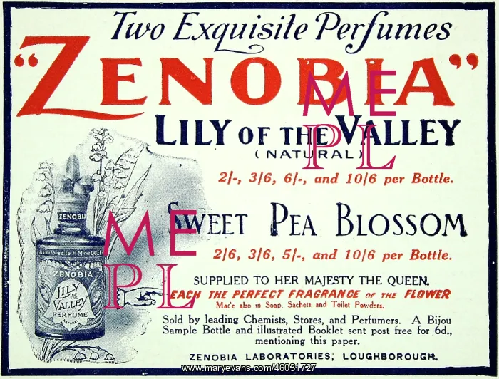 : Zenobia perfumes : Zenobia perfumes