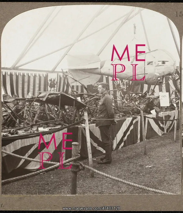 : ZEPPELIN BROUGHT DOWN : ZEPPELIN BROUGHT DOWN