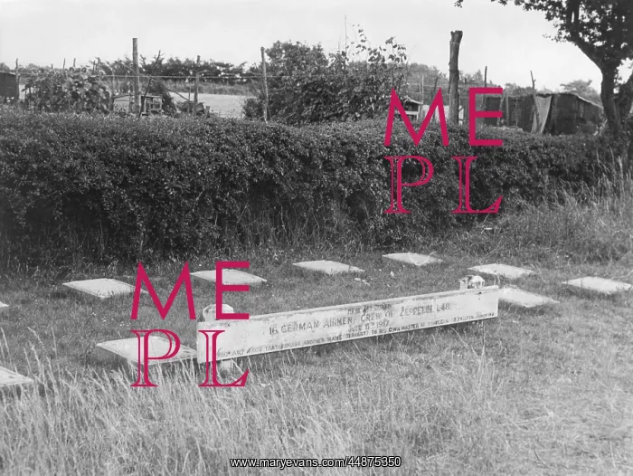 : THE ZEPPELIN GRAVES : THE ZEPPELIN GRAVES