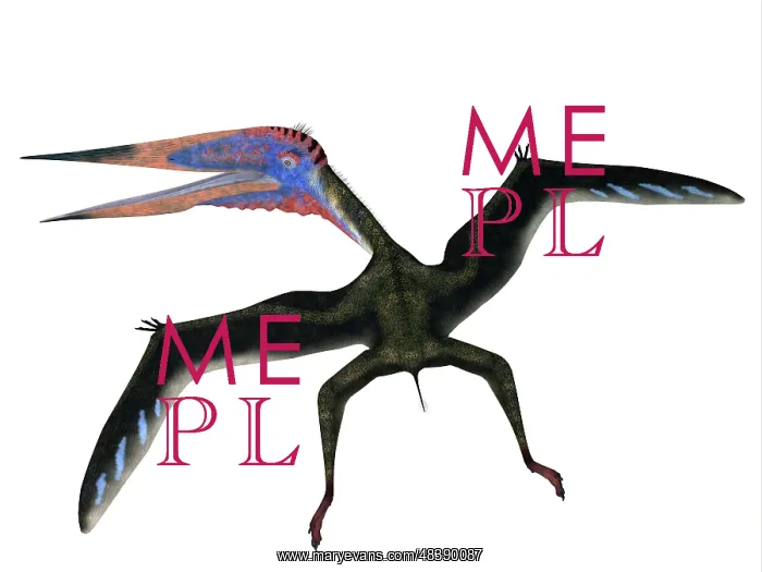 : Zhejiangopterus pterosaur : Zhejiangopterus pterosaur