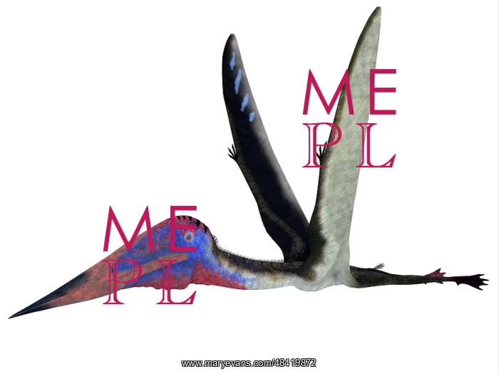 : Zhejiangopterus pterosaur : Zhejiangopterus pterosaur