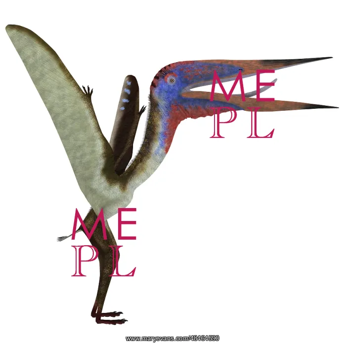 : Zhejiangopterus pterosaur : Zhejiangopterus pterosaur