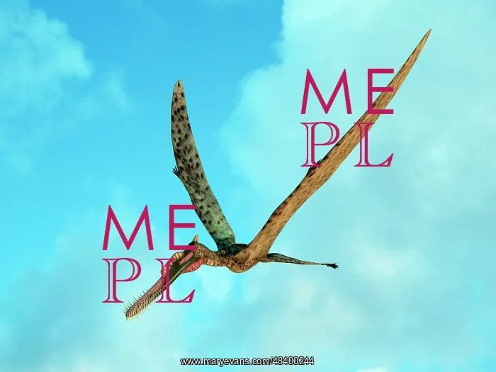 : Zhenyuanopterus, a genus of pterosaur from the Cretaceous ? : Zhenyuanopterus, a genus of pterosaur from the Cretaceous ?