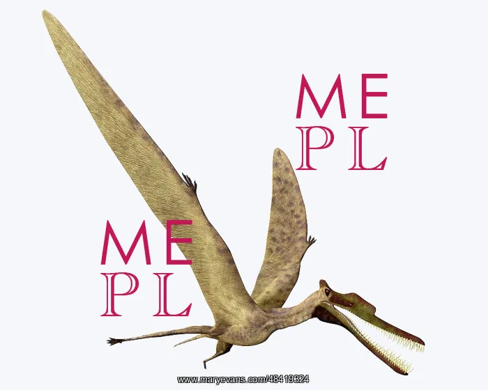 : Zhenyuanopterus pterosaur from the Cretaceous Period : Zhenyuanopterus pterosaur from the Cretaceous Period