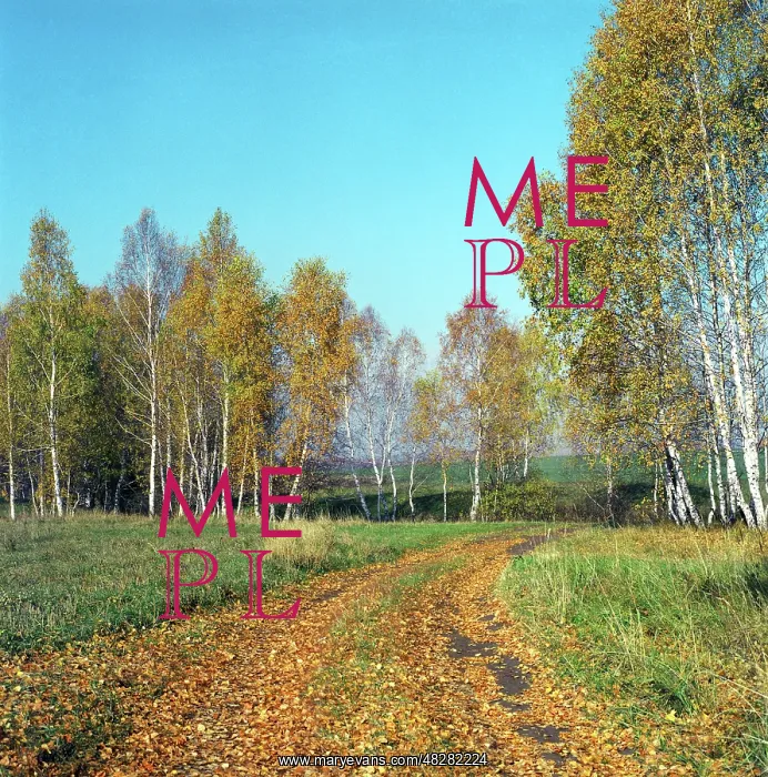 : Zhiguli Hills in autumn, 1997 : Zhiguli Hills in autumn, 1997