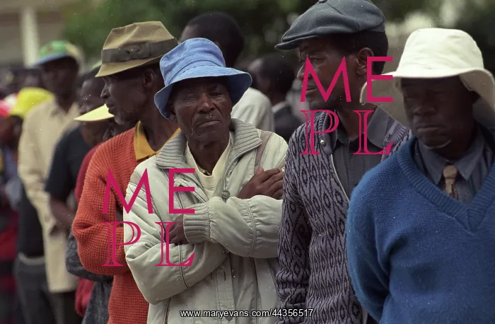 : Zimbabwe, elections, 2002. A queue at a rural election : Zimbabwe, elections, 2002. A queue at a rural election