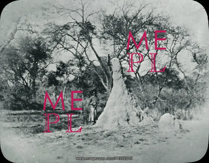 : Zimbabwe (Rhodesia) - Ant hill : Zimbabwe (Rhodesia) - Ant hill