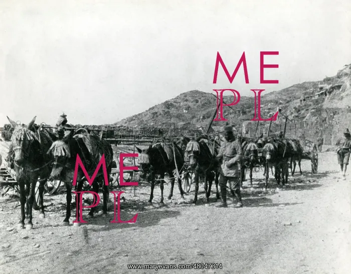 : Zion Mule Corps in Palestine, WW1 : Zion Mule Corps in Palestine, WW1