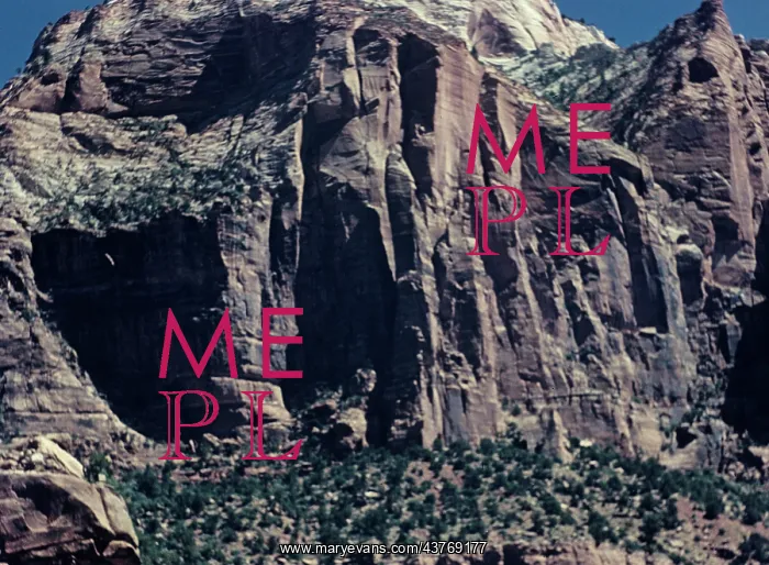 : Zion National Park - Utah : Zion National Park - Utah
