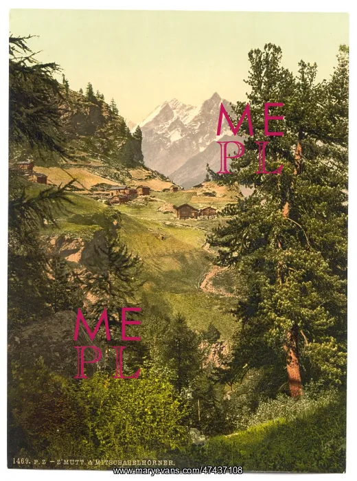 : Zmutt Valley with Mischabelhorner group, Valais, Alps of, Sw : Zmutt Valley with Mischabelhorner group, Valais, Alps of, Sw
