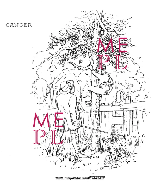 : ZODIAC / CANCER (MAXIMS) : ZODIAC / CANCER (MAXIMS)
