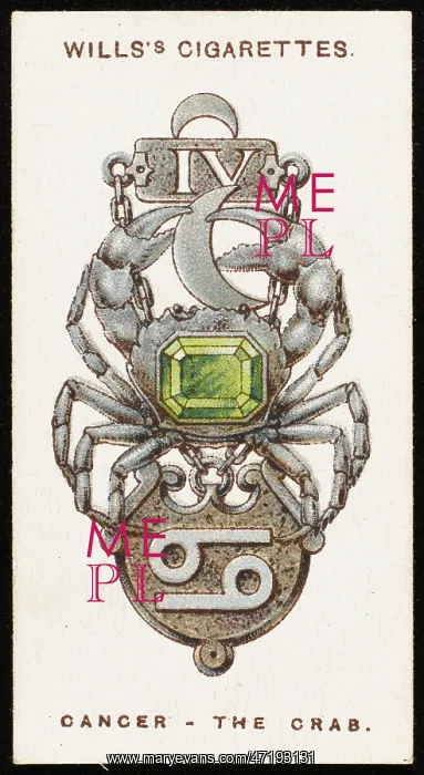 : ZODIAC CHARMS CANCER : ZODIAC CHARMS CANCER