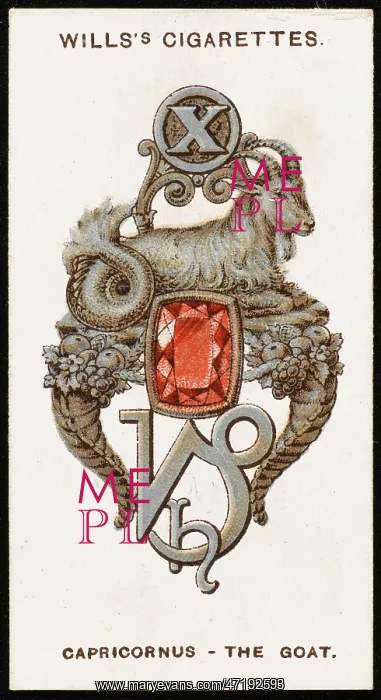: ZODIAC CHARMS CAPRICORN : ZODIAC CHARMS CAPRICORN