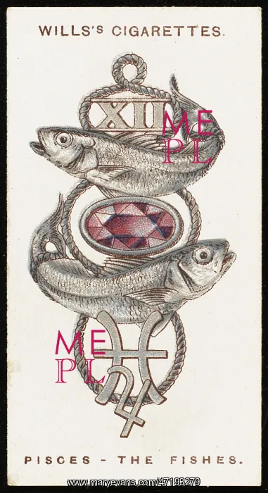 : ZODIAC CHARMS PISCES : ZODIAC CHARMS PISCES