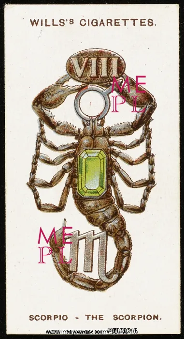  : ZODIAC CHARMS SCORPIO